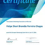 Especialista em Hematologia pela associacao europeia EHA