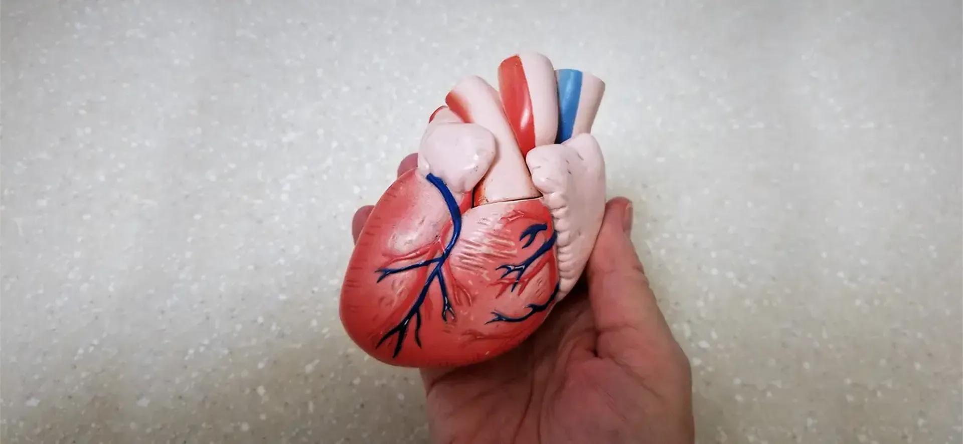 Dia Internacional da Cardiologia Intervencionista: Ministério da Saúde alerta para os cuidados com o coração