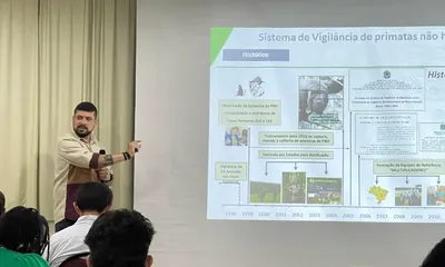 divulgação/MS