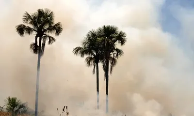 Gabriel Jabur/Agência Brasília