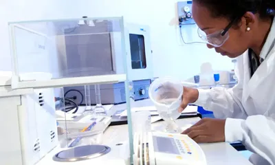 divulgação/MS
